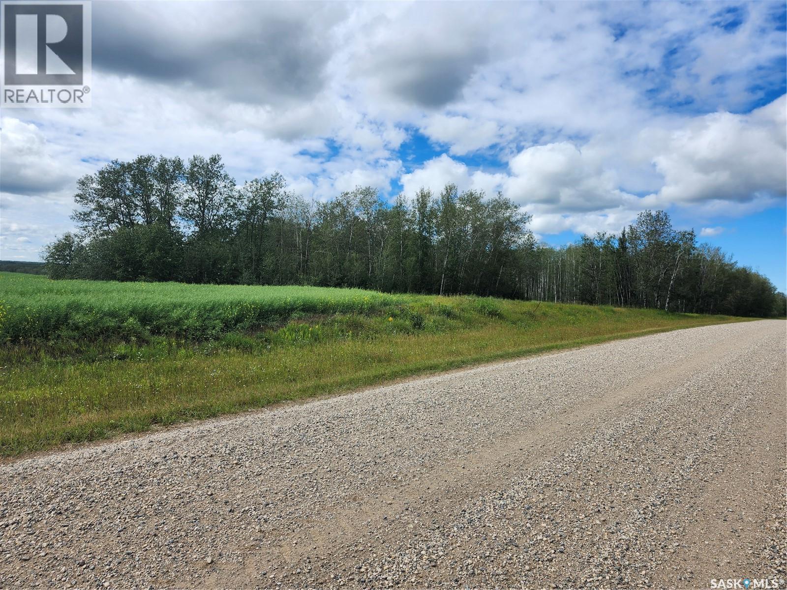Mills Farm Land, Preeceville Rm No. 334, Saskatchewan  S0A 0A2 - Photo 4 - SK998734