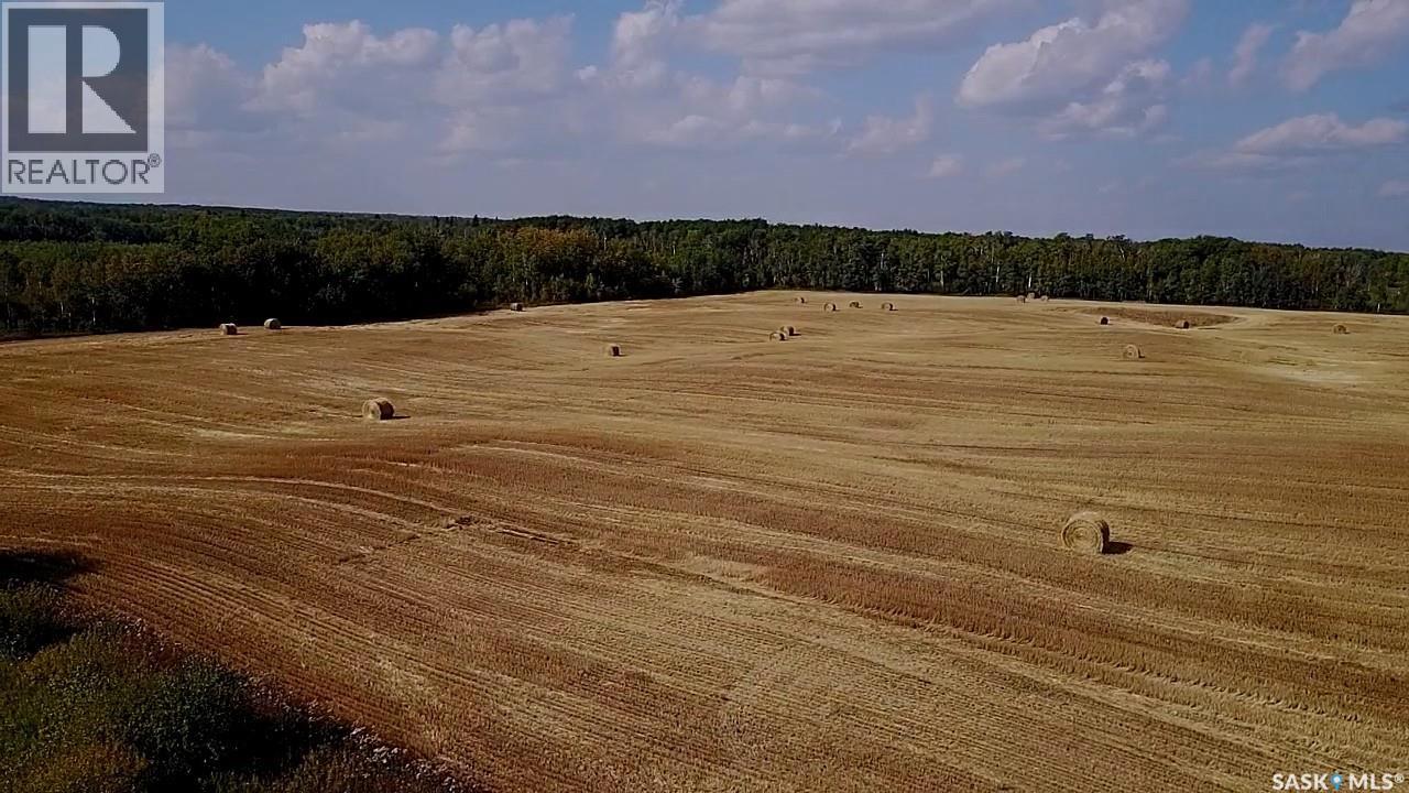 Mills Farm Land, Preeceville Rm No. 334, Saskatchewan  S0A 0A2 - Photo 13 - SK998734