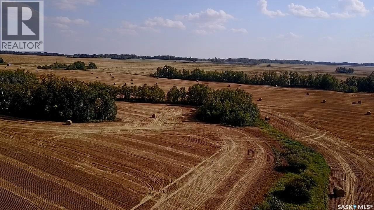 Mills Farm Land, Preeceville Rm No. 334, Saskatchewan  S0A 0A2 - Photo 29 - SK998734