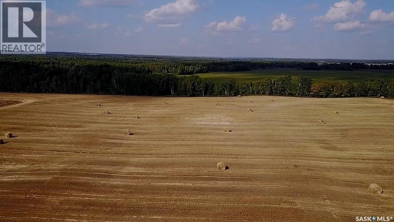 Mills Farm Land, Preeceville Rm No. 334, Saskatchewan  S0A 0A2 - Photo 35 - SK998734