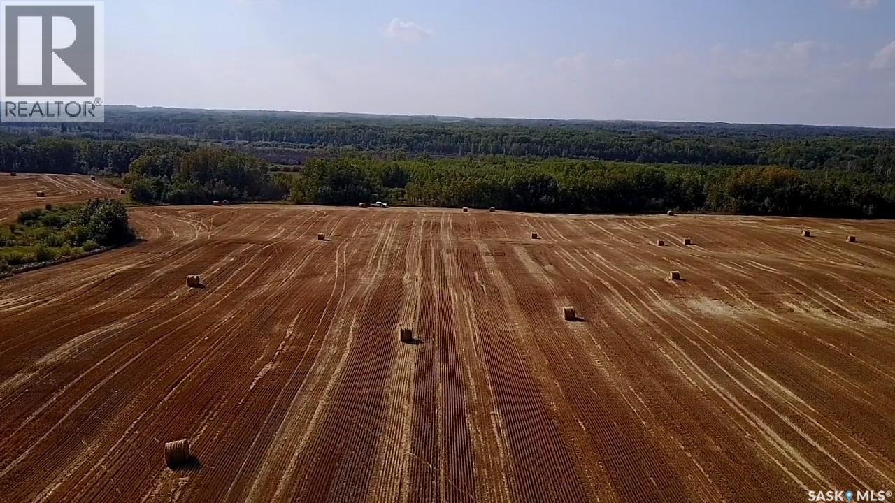 Mills Farm Land, Preeceville Rm No. 334, Saskatchewan  S0A 0A2 - Photo 37 - SK998734