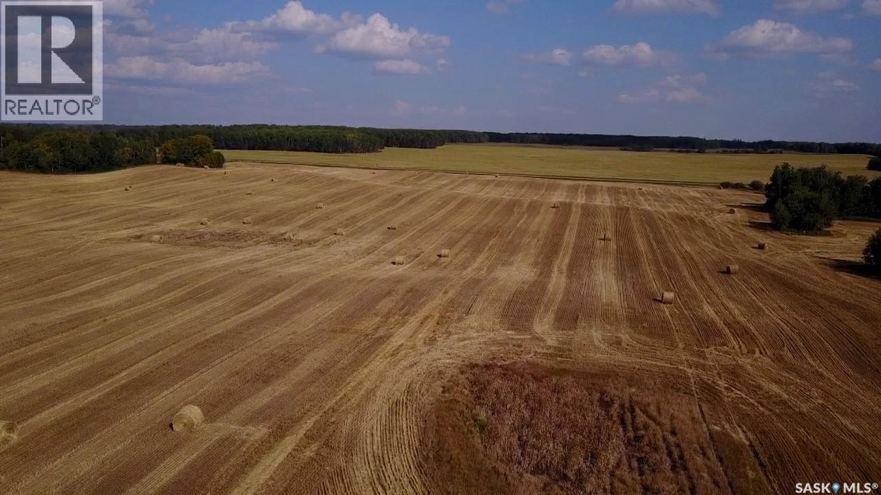 Mills Farm Land, Preeceville Rm No. 334, Saskatchewan  S0A 0A2 - Photo 31 - SK998734