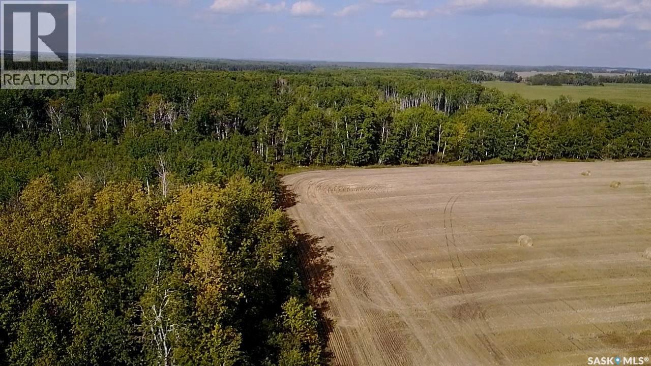 Mills Farm Land, Preeceville Rm No. 334, Saskatchewan  S0A 0A2 - Photo 26 - SK998734