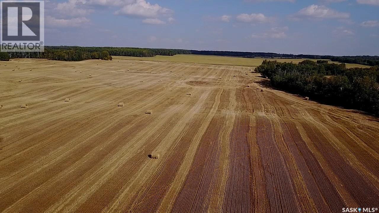 Mills Farm Land, Preeceville Rm No. 334, Saskatchewan  S0A 0A2 - Photo 30 - SK998734
