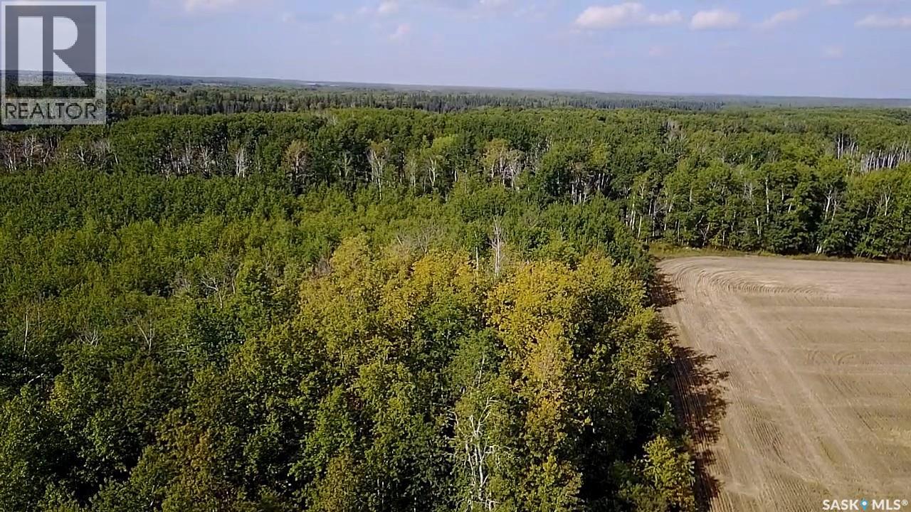 Mills Farm Land, Preeceville Rm No. 334, Saskatchewan  S0A 0A2 - Photo 25 - SK998734