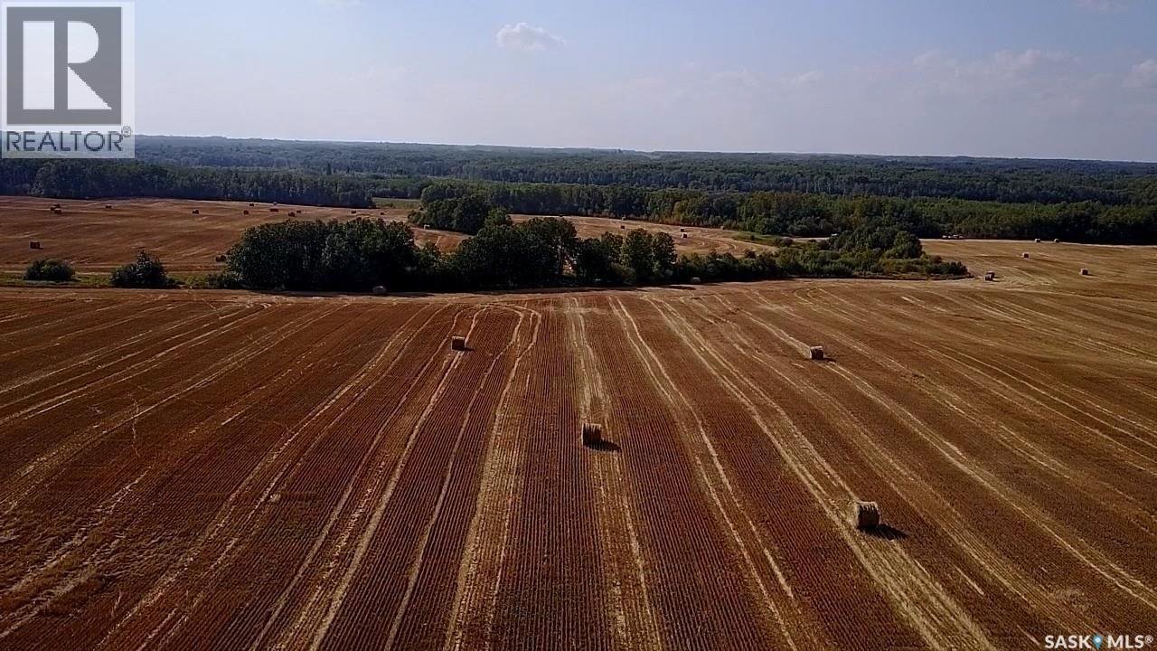 Mills Farm Land, Preeceville Rm No. 334, Saskatchewan  S0A 0A2 - Photo 33 - SK998734