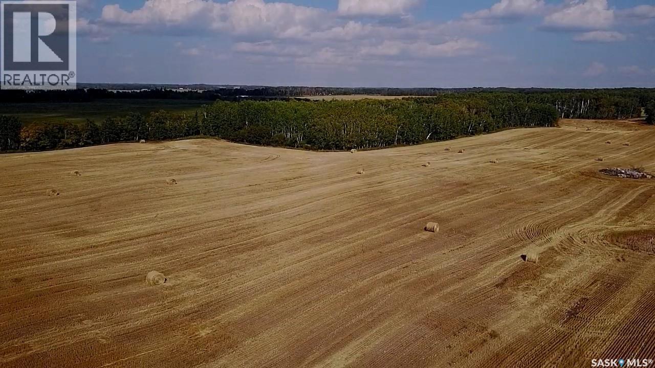 Mills Farm Land, Preeceville Rm No. 334, Saskatchewan  S0A 0A2 - Photo 36 - SK998734