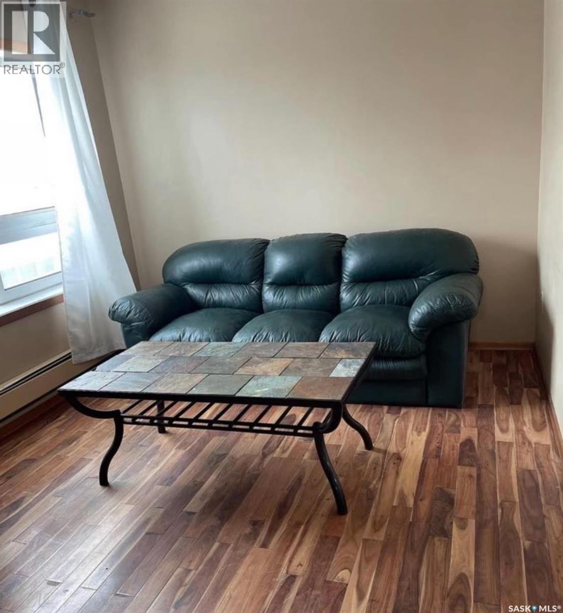 221 Centre Street, Assiniboia, Saskatchewan  S0H 0B0 - Photo 19 - SK018128