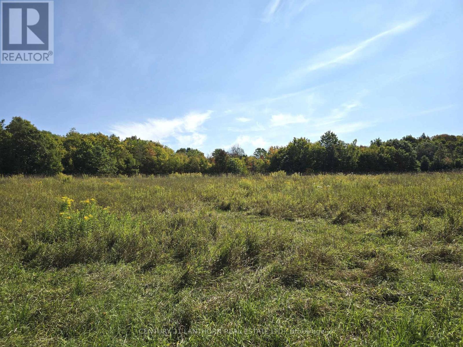 00 Morrison Road, Madoc, Ontario  K0K 1Y0 - Photo 37 - X12397428