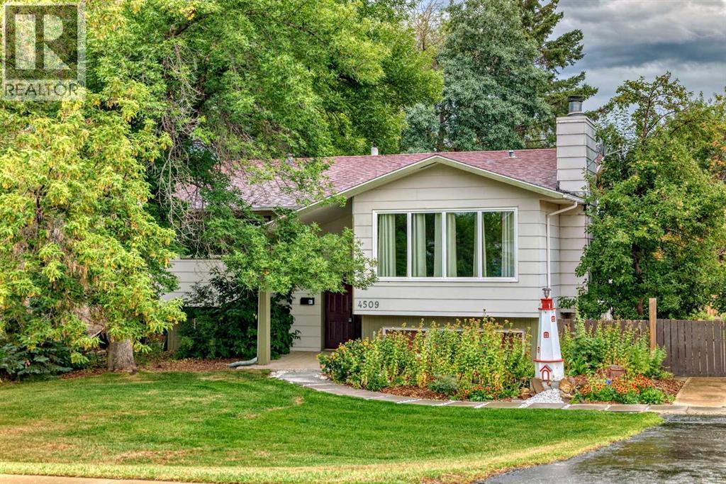 Property at 4509 49 Street image 1