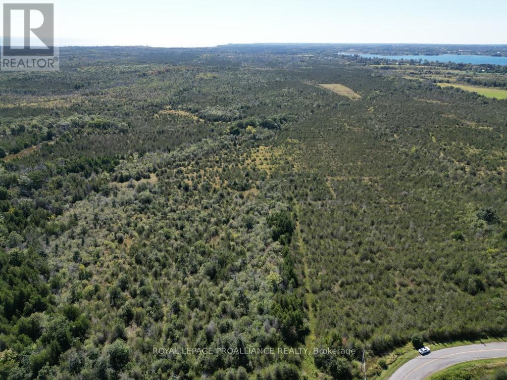 3526 County Rd 13, Prince Edward County, Ontario  K0K 2T0 - Photo 6 - X12263282