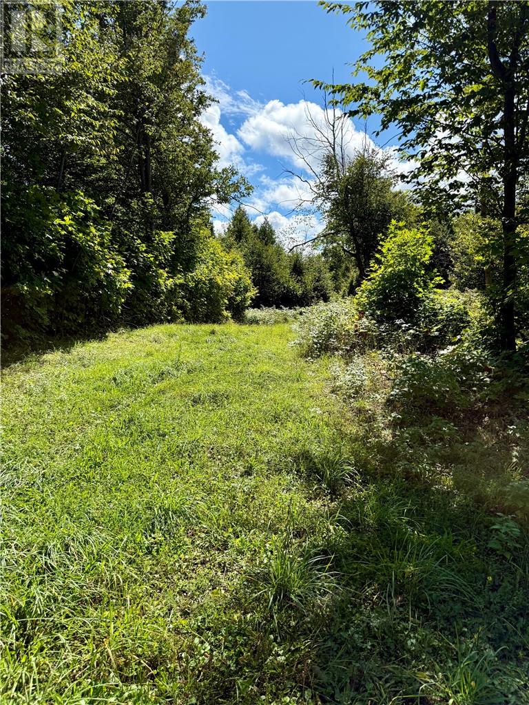 Lot 3 Twin Harbours Rd, Manitoulin Island, Ontario  P0P 2B0 - Photo 3 - 2124682