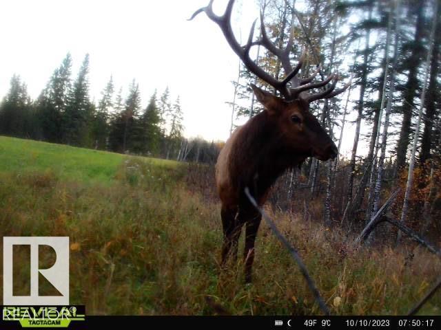 Rge Rd 261 Twp Rd 630, Rural Westlock County, Alberta  T0G 0S0 - Photo 26 - E4455551