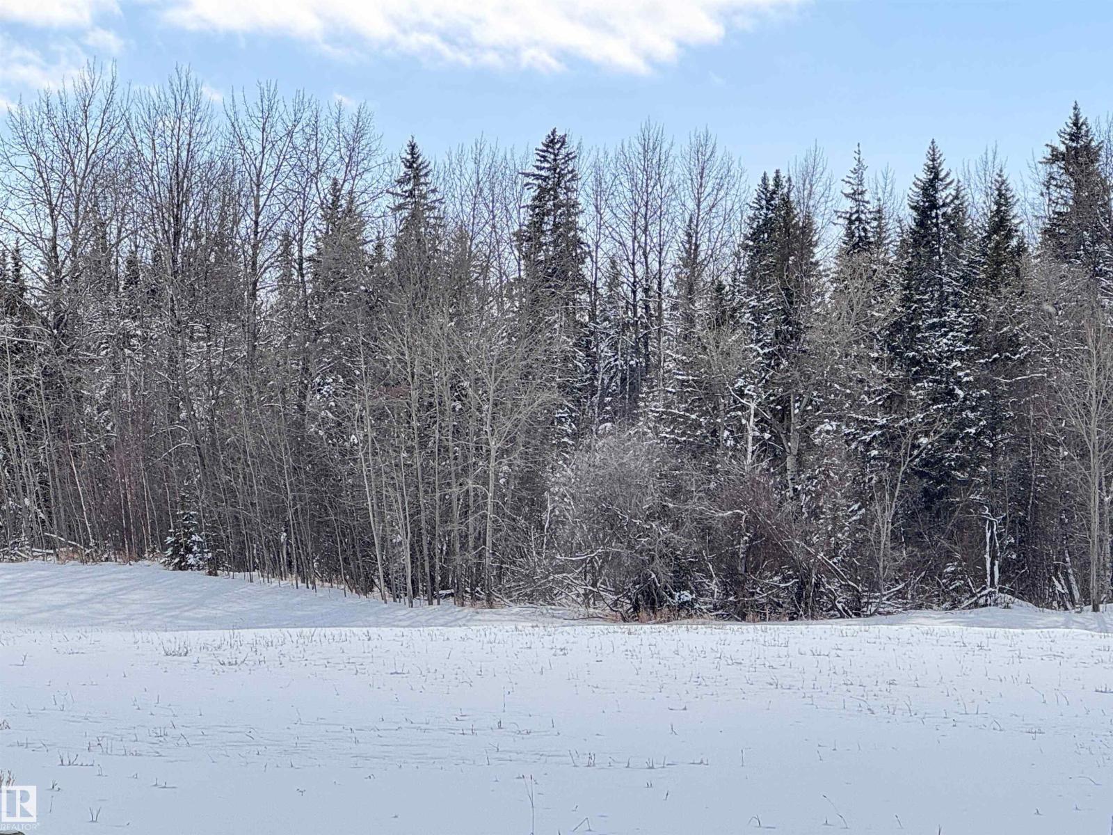Rge Rd 261 Twp Rd 630, Rural Westlock County, Alberta  T0G 0S0 - Photo 29 - E4455551