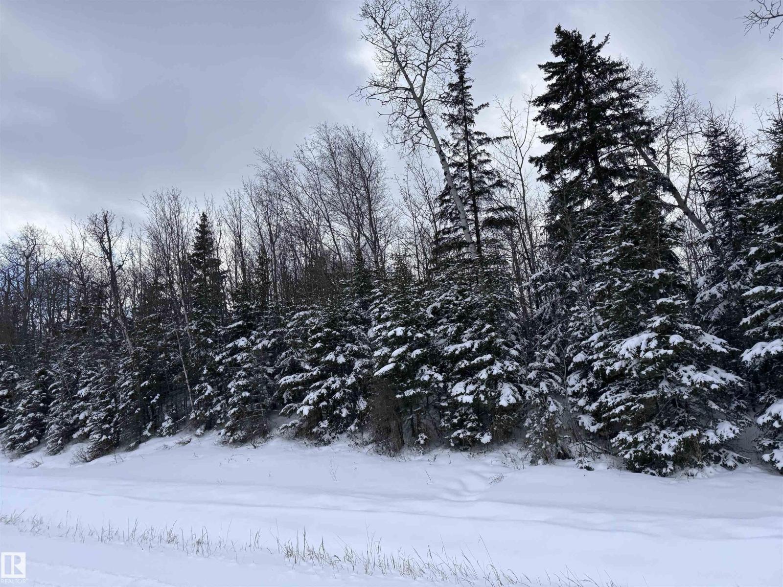 Rge Rd 261 Twp Rd 630, Rural Westlock County, Alberta  T0G 0S0 - Photo 4 - E4455551