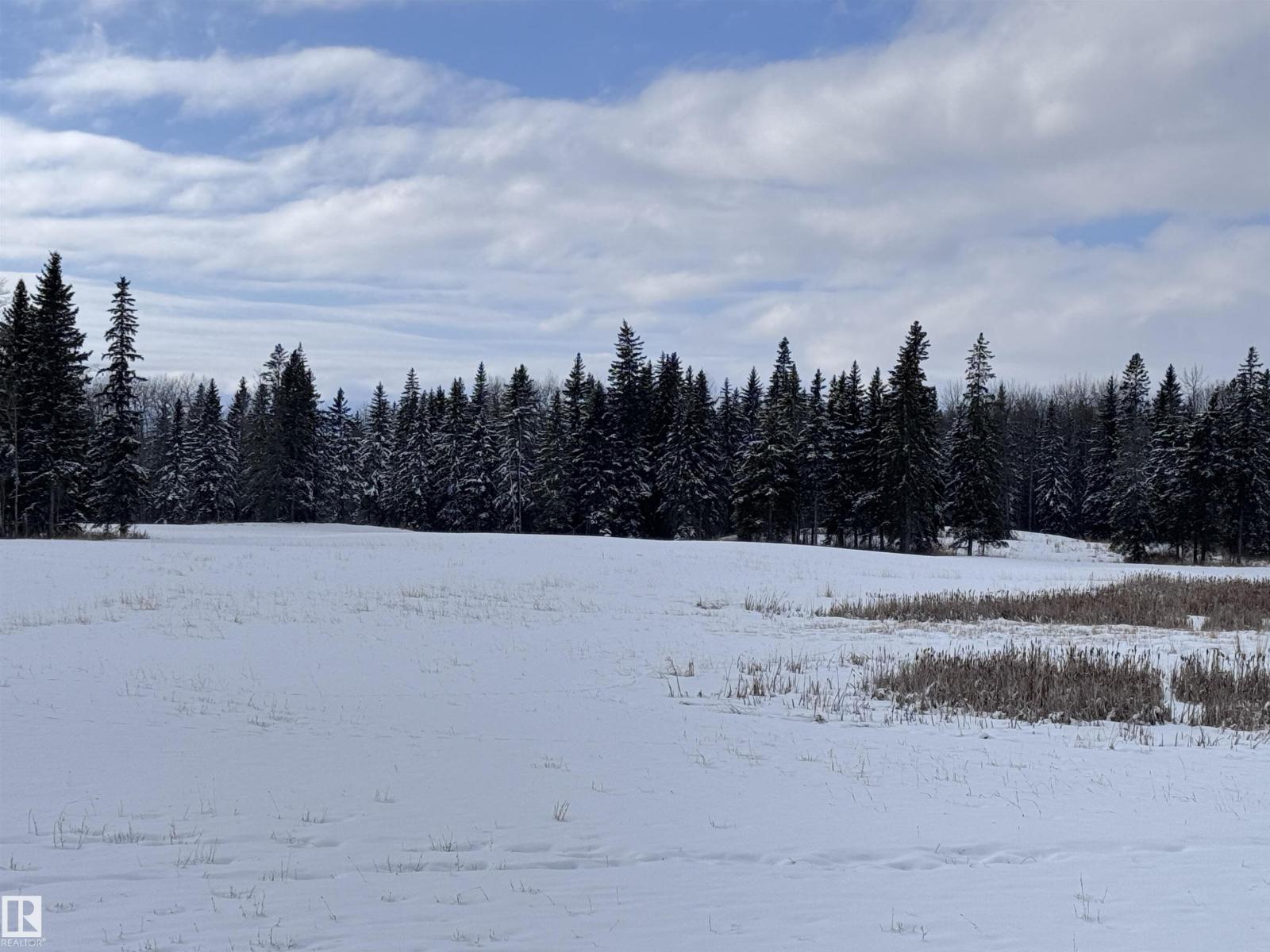 Rge Rd 261 Twp Rd 630, Rural Westlock County, Alberta  T0G 0S0 - Photo 45 - E4455551