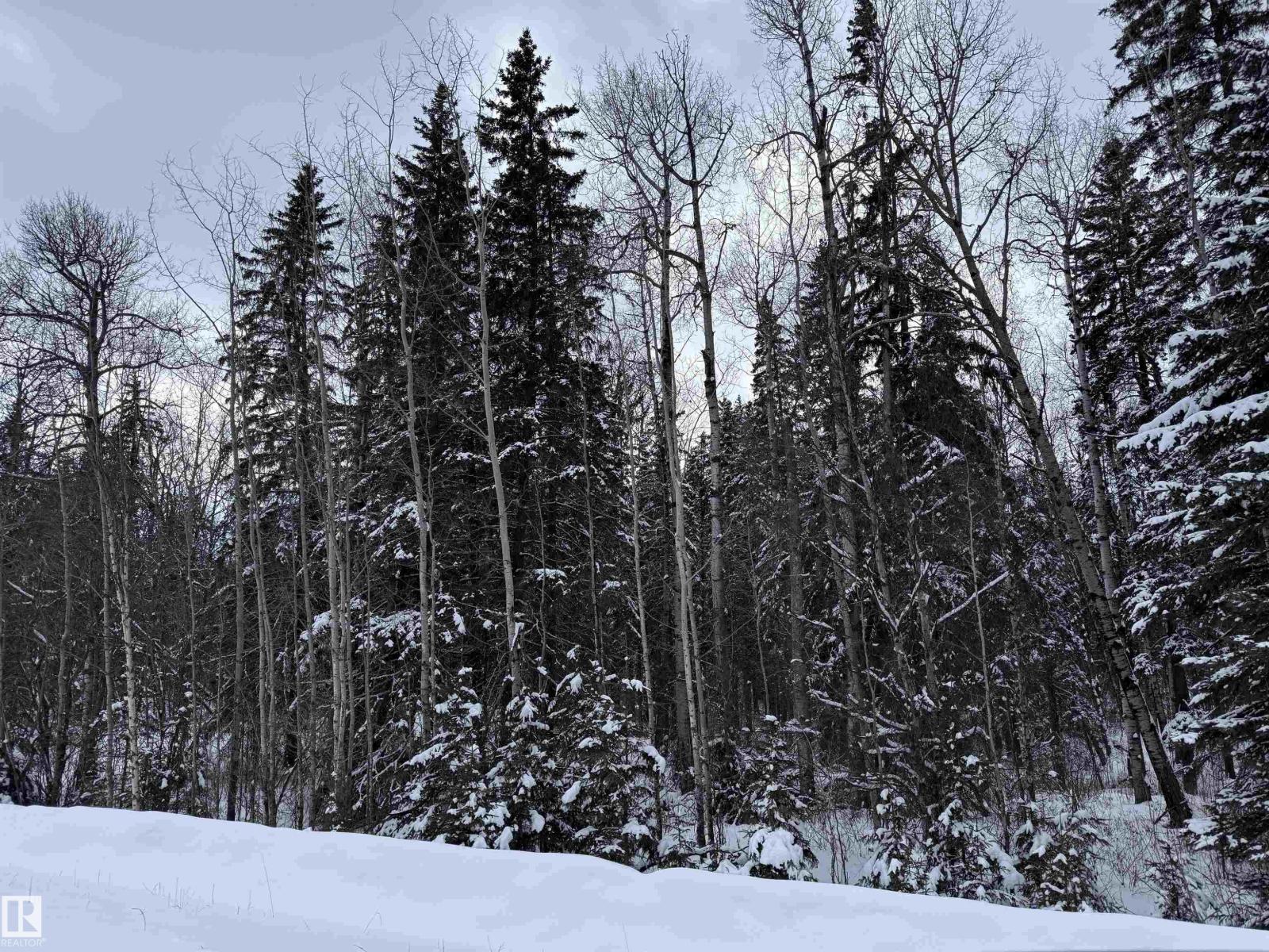 Rge Rd 261 Twp Rd 630, Rural Westlock County, Alberta  T0G 0S0 - Photo 47 - E4455551