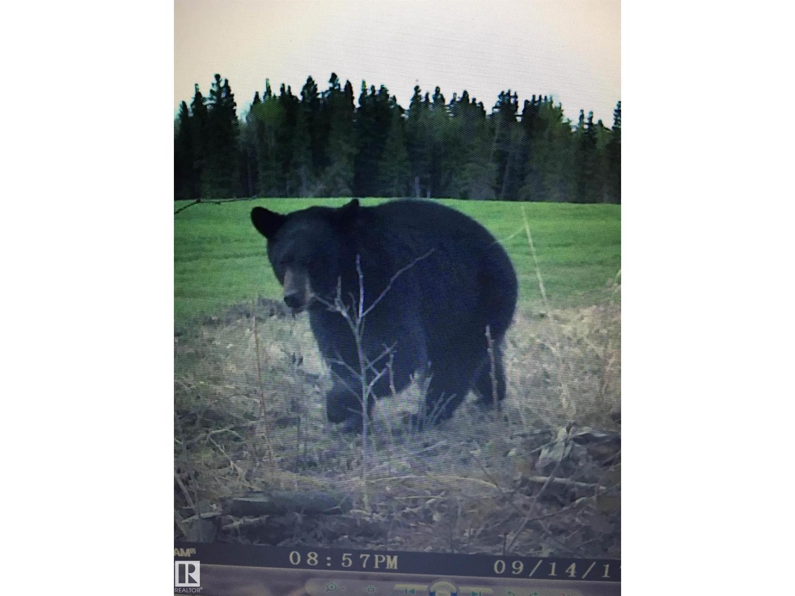 Rge Rd 261 Twp Rd 630, Rural Westlock County, Alberta  T0G 0S0 - Photo 25 - E4455551