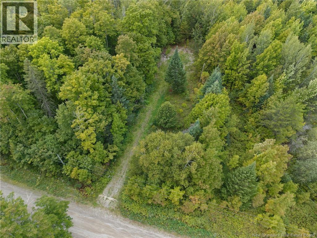 451 Upper Skiff Lake Road, Dead Creek, New Brunswick