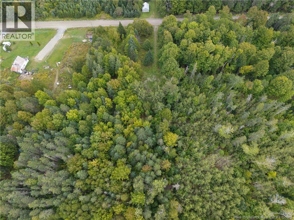 451 Upper Skiff Lake Road, Dead Creek, New Brunswick  E6H 1T1 - Photo 10 - NB126451
