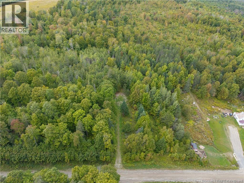 451 Upper Skiff Lake Road, Dead Creek, New Brunswick  E6H 1T1 - Photo 11 - NB126451