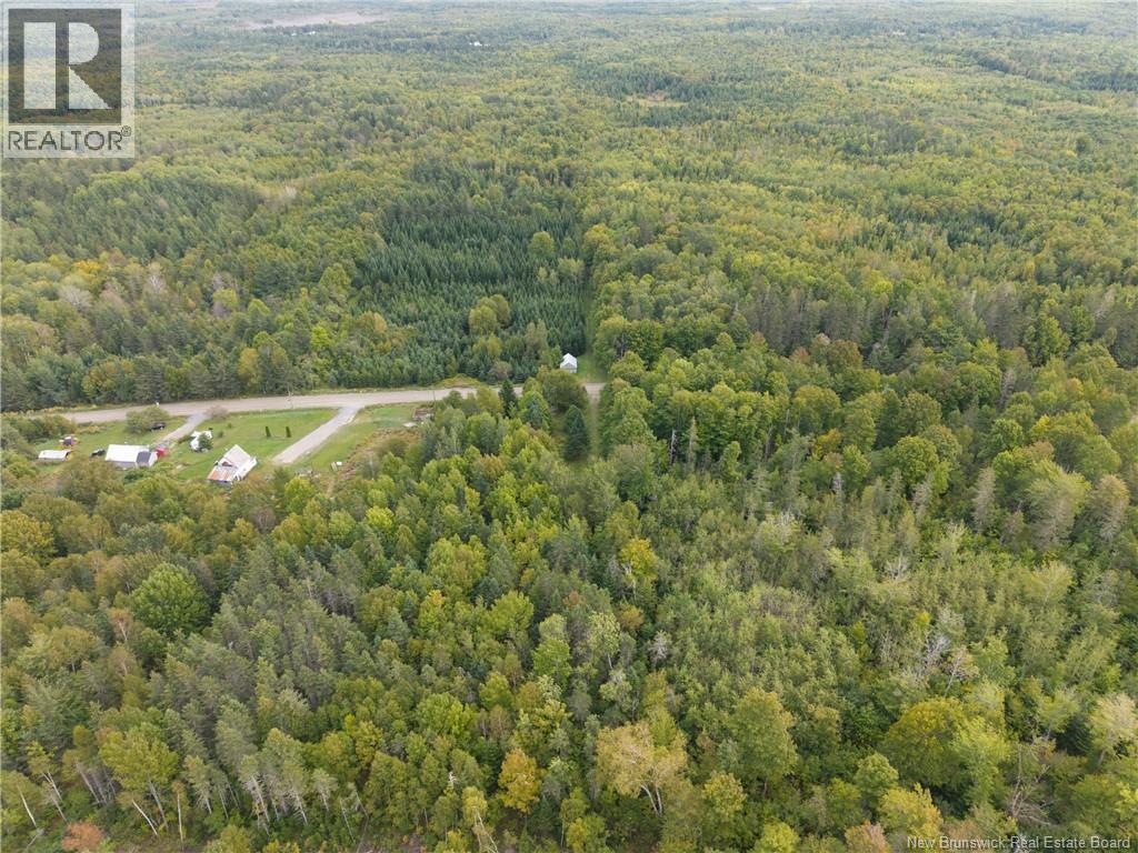 451 Upper Skiff Lake Road, Dead Creek, New Brunswick  E6H 1T1 - Photo 12 - NB126451