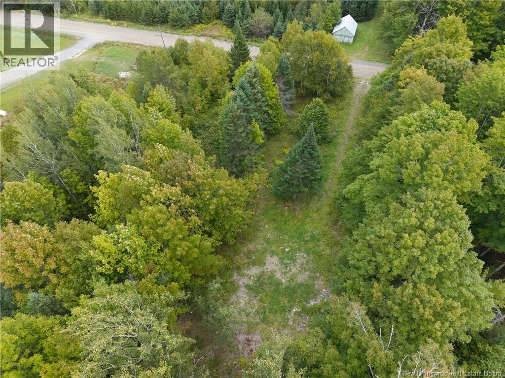 451 Upper Skiff Lake Road, Dead Creek, New Brunswick  E6H 1T1 - Photo 2 - NB126451