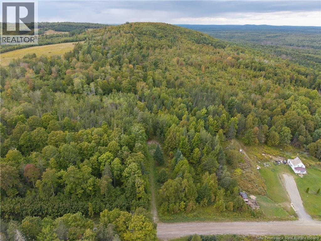 451 Upper Skiff Lake Road, Dead Creek, New Brunswick  E6H 1T1 - Photo 5 - NB126451