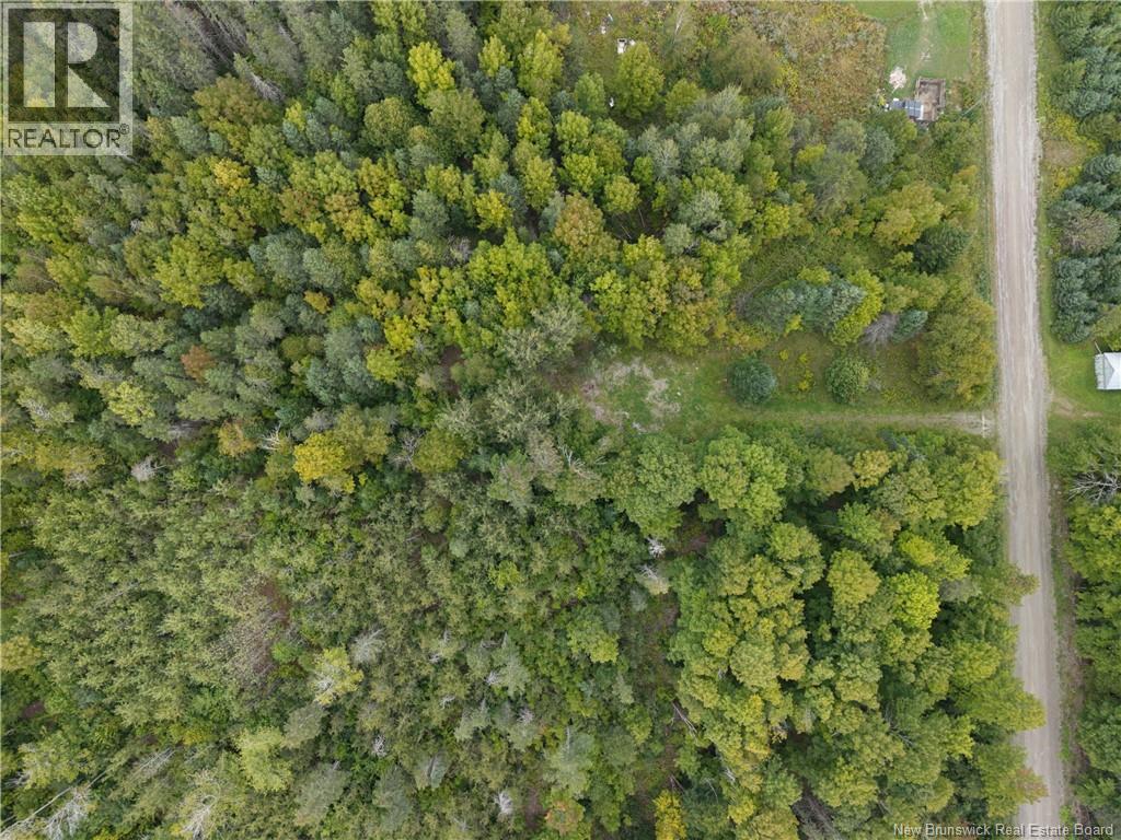 451 Upper Skiff Lake Road, Dead Creek, New Brunswick  E6H 1T1 - Photo 6 - NB126451