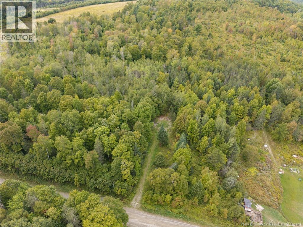 451 Upper Skiff Lake Road, Dead Creek, New Brunswick  E6H 1T1 - Photo 7 - NB126451