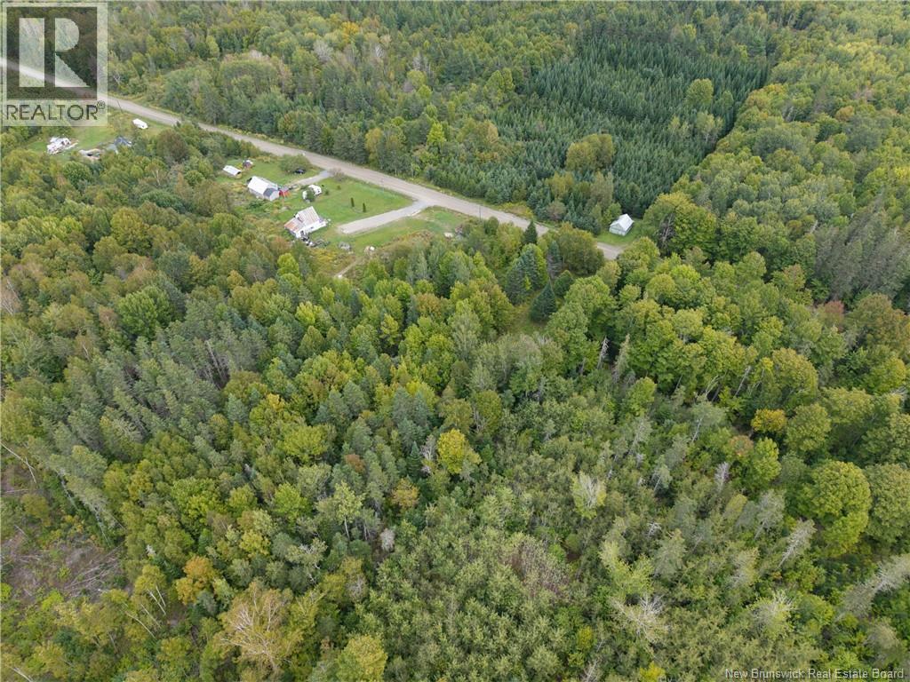 451 Upper Skiff Lake Road, Dead Creek, New Brunswick  E6H 1T1 - Photo 8 - NB126451