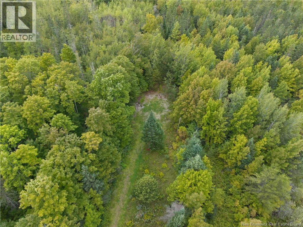 451 Upper Skiff Lake Road, Dead Creek, New Brunswick  E6H 1T1 - Photo 9 - NB126451