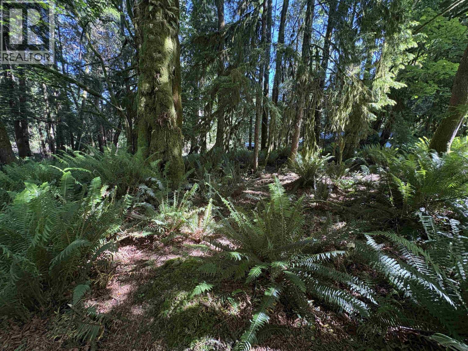 Lot 64 984 West Bay Road, Gambier Island, British Columbia  V0N 1V0 - Photo 13 - R3014128