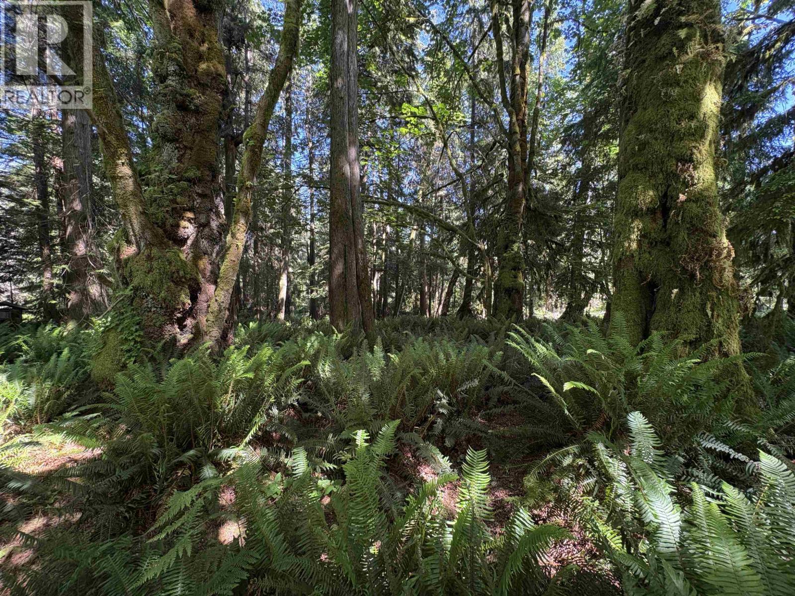 Lot 64 984 West Bay Road, Gambier Island, British Columbia  V0N 1V0 - Photo 7 - R3014128