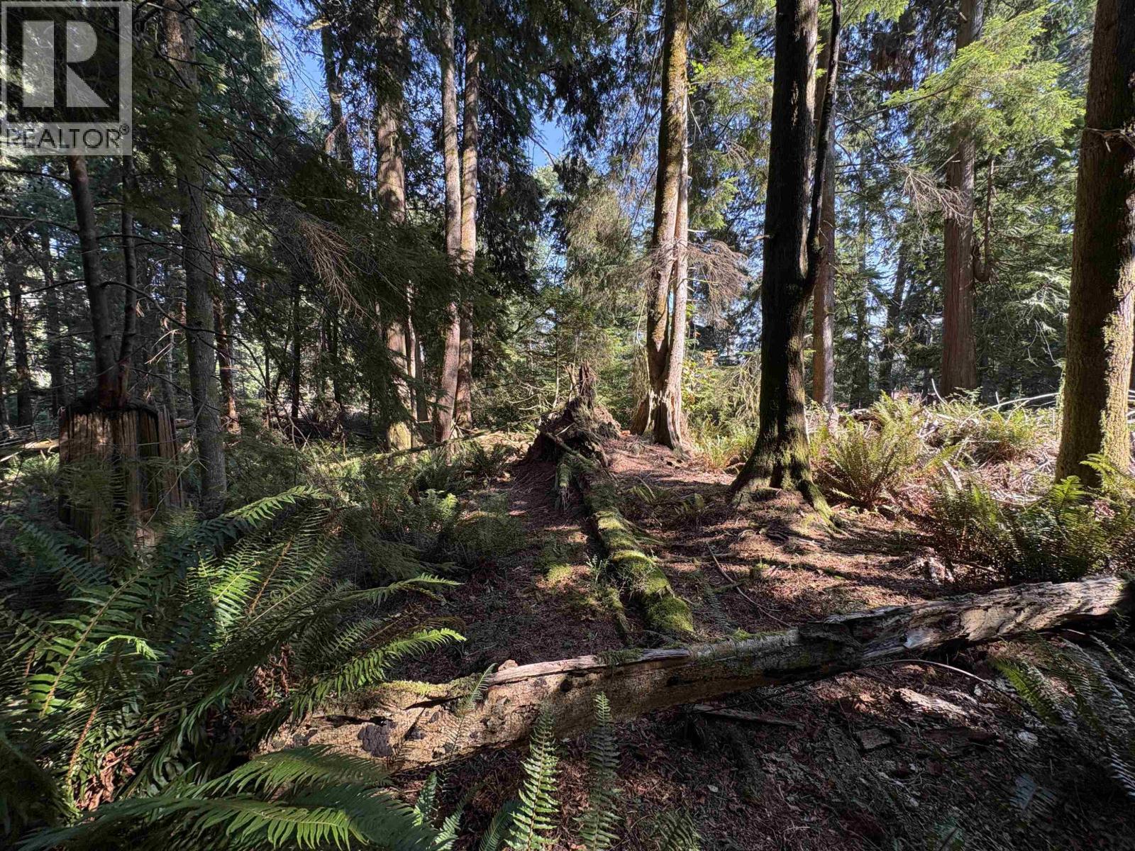Lot 64 984 West Bay Road, Gambier Island, British Columbia  V0N 1V0 - Photo 8 - R3014128