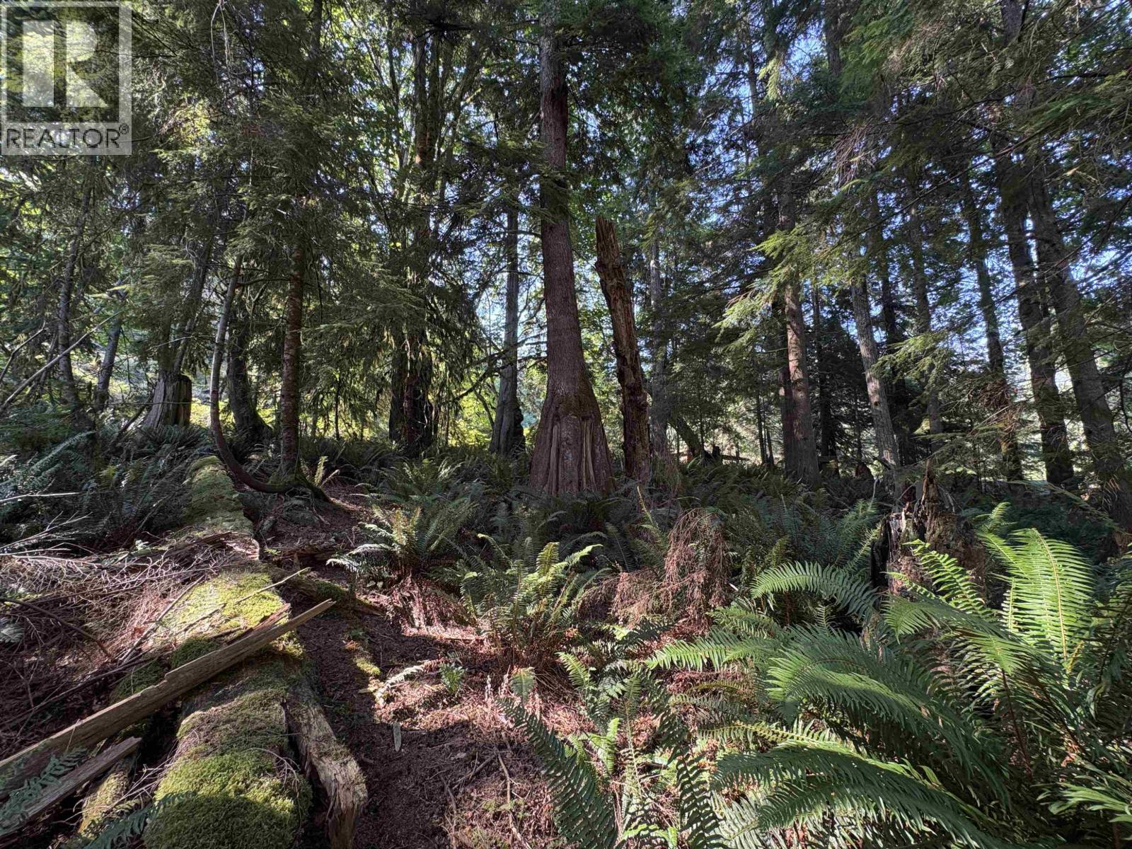 Lot 64 984 West Bay Road, Gambier Island, British Columbia  V0N 1V0 - Photo 9 - R3014128