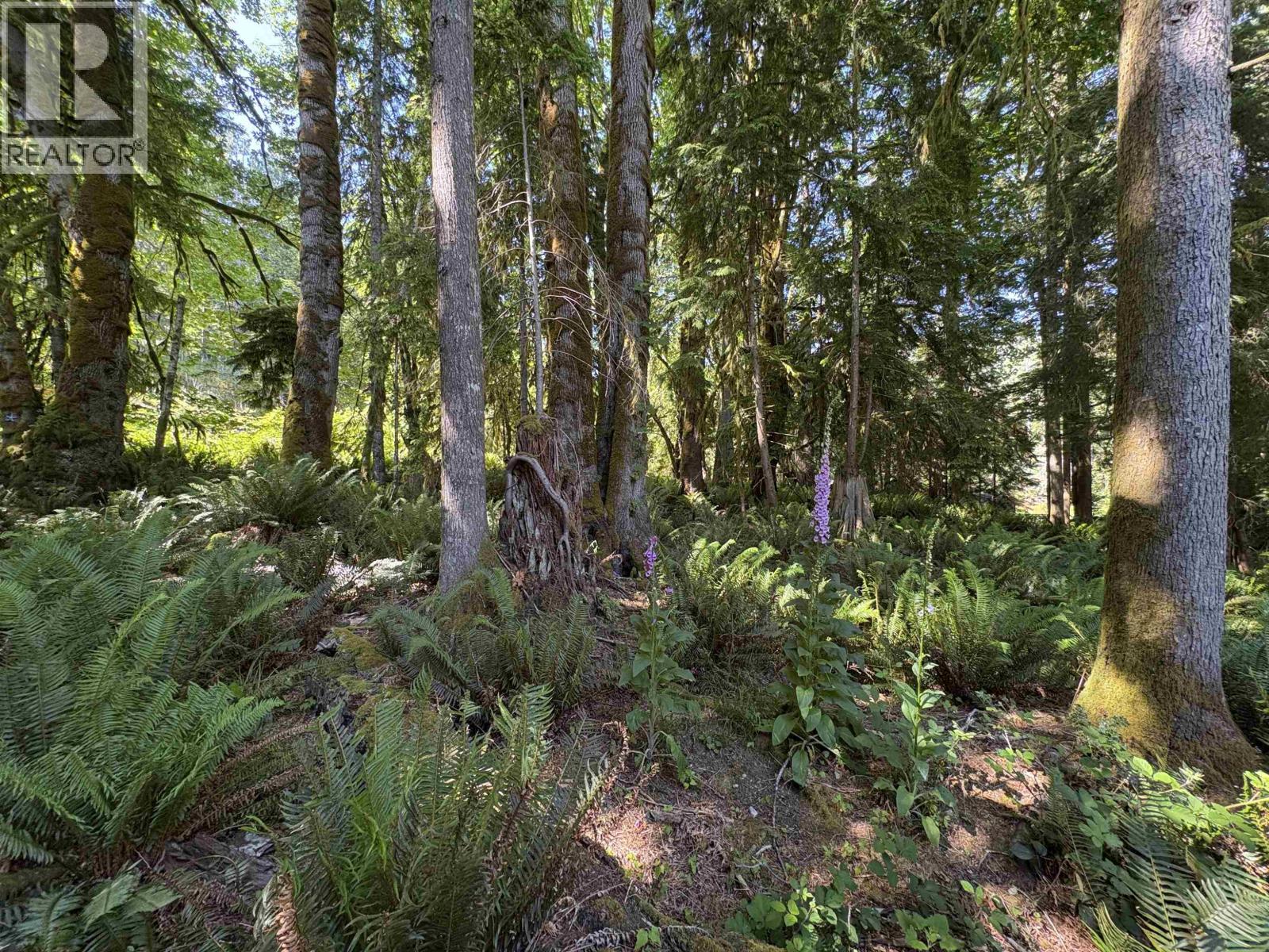 Lot 64 984 West Bay Road, Gambier Island, British Columbia  V0N 1V0 - Photo 5 - R3014128