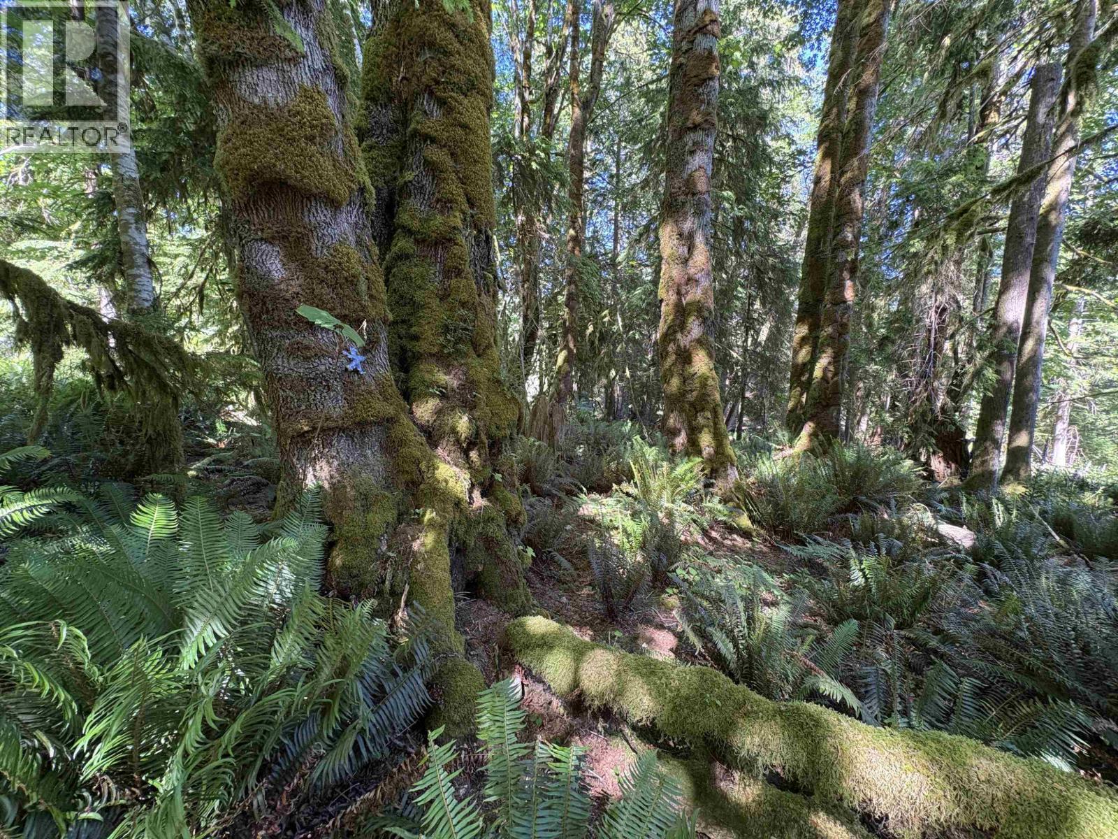 Lot 64 984 West Bay Road, Gambier Island, British Columbia  V0N 1V0 - Photo 6 - R3014128