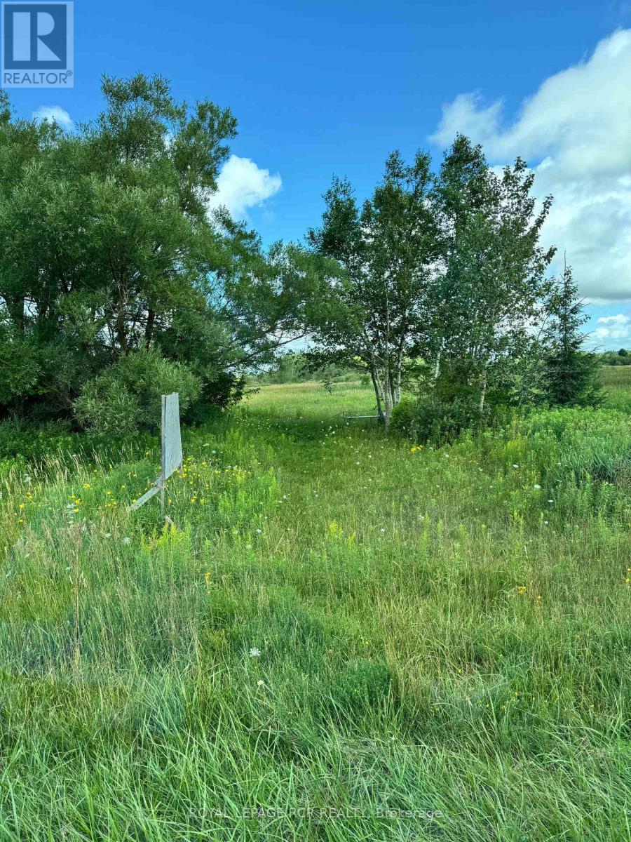 Unknown Address, ,     - Photo 2 - X12397640