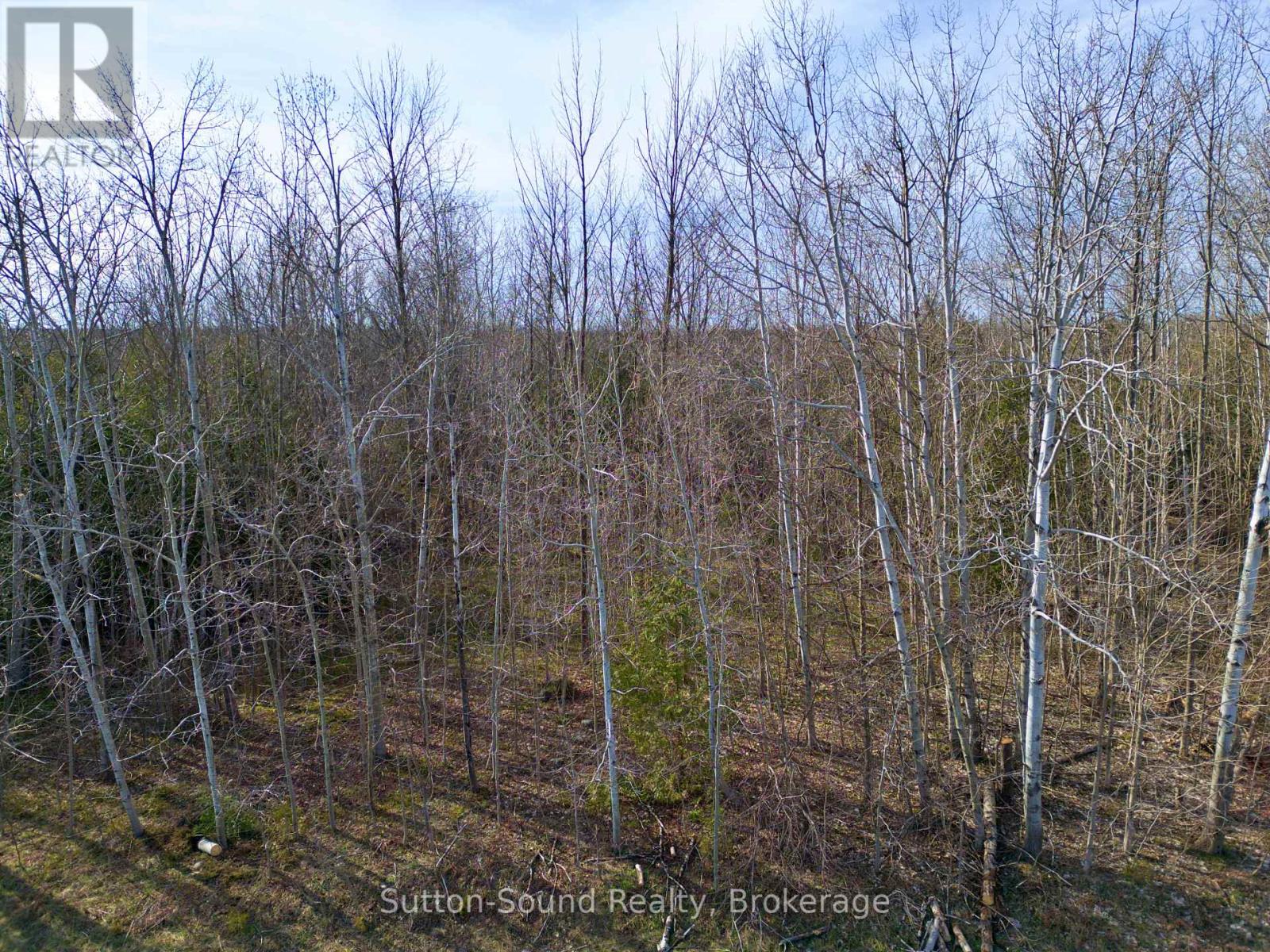 Con 2 Wbr Pt Lot 23 Maple Drive, Northern Bruce Peninsula, Ontario  N0H 1Z0 - Photo 9 - X12118815