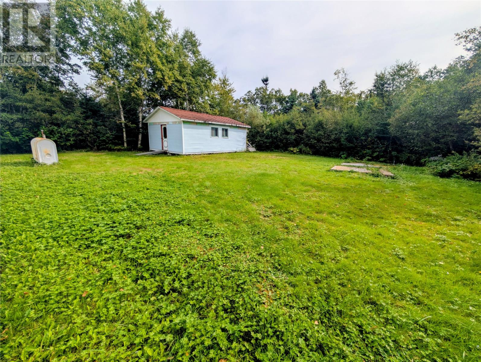6 Richards Road, Appleton, Newfoundland & Labrador  A0G 2K0 - Photo 18 - 1290328
