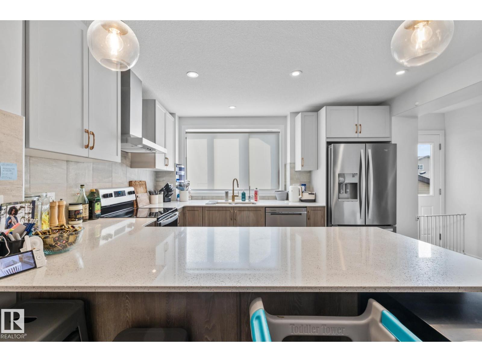 17227 3 St Nw, Edmonton, Alberta  T5Y 6G4 - Photo 14 - E4457284