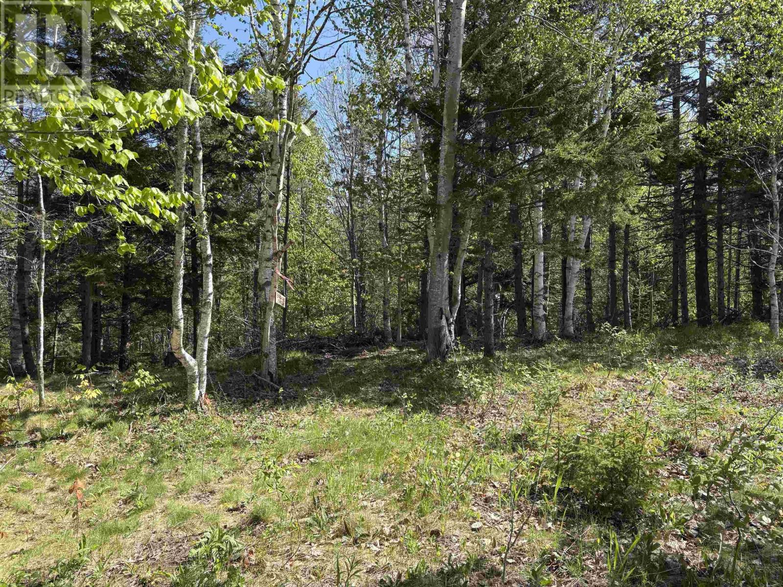 Lot 2.4+- Acres Oliver Road, Hazel Glen, Nova Scotia