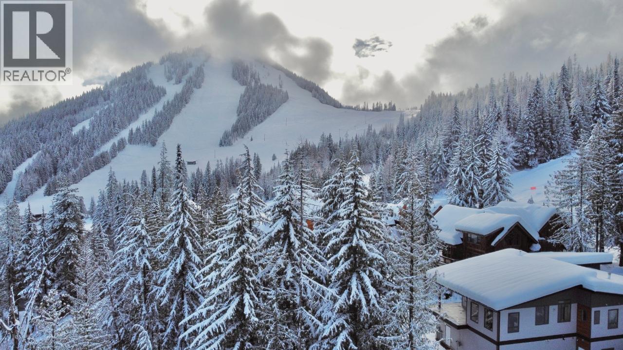 1018 Olaus Way, Rossland, British Columbia  V0G 1Y0 - Photo 10 - 10347558