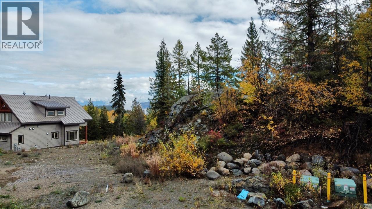 1018 Olaus Way, Rossland, British Columbia  V0G 1Y0 - Photo 16 - 10347558