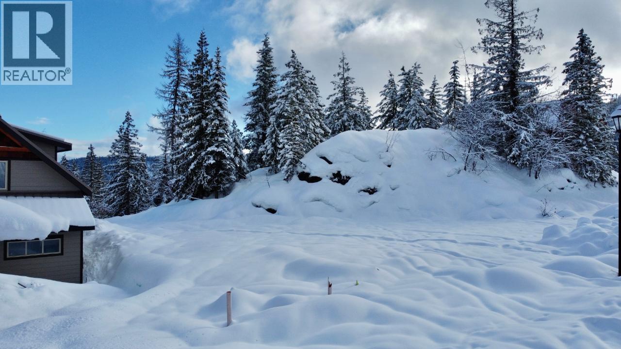 1018 Olaus Way, Rossland, British Columbia  V0G 1Y0 - Photo 8 - 10347558