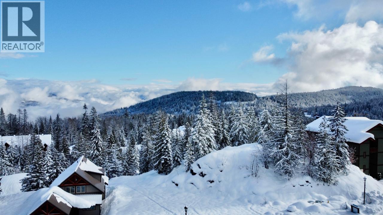 1018 Olaus Way, Rossland, British Columbia  V0G 1Y0 - Photo 11 - 10347558