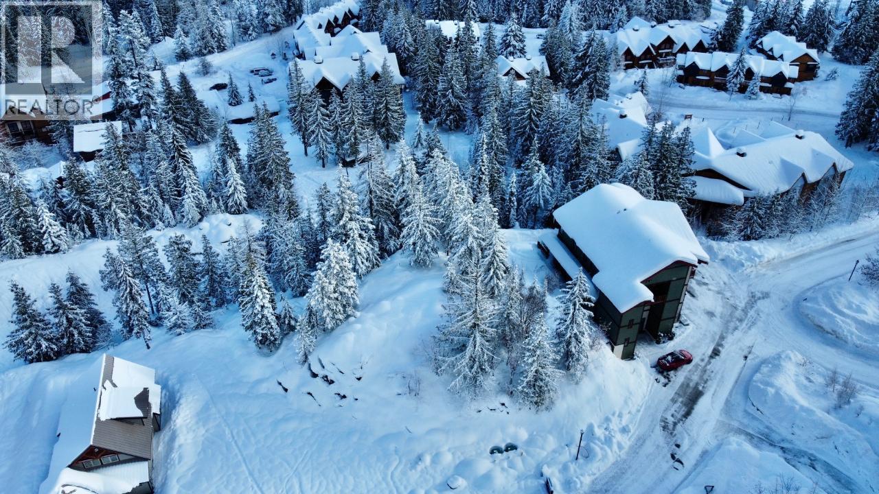1018 Olaus Way, Rossland, British Columbia  V0G 1Y0 - Photo 9 - 10347558