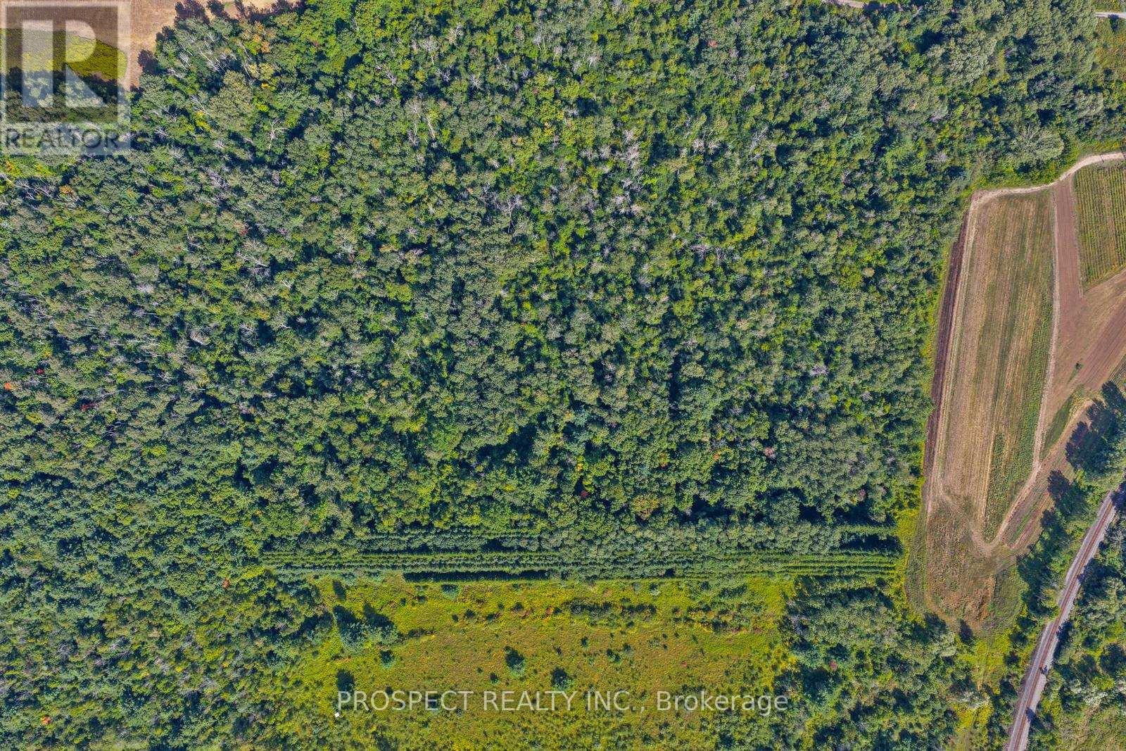Con 4 S Lot 9 Road, Ajax, Ontario  L1S 4S7 - Photo 10 - E12398209