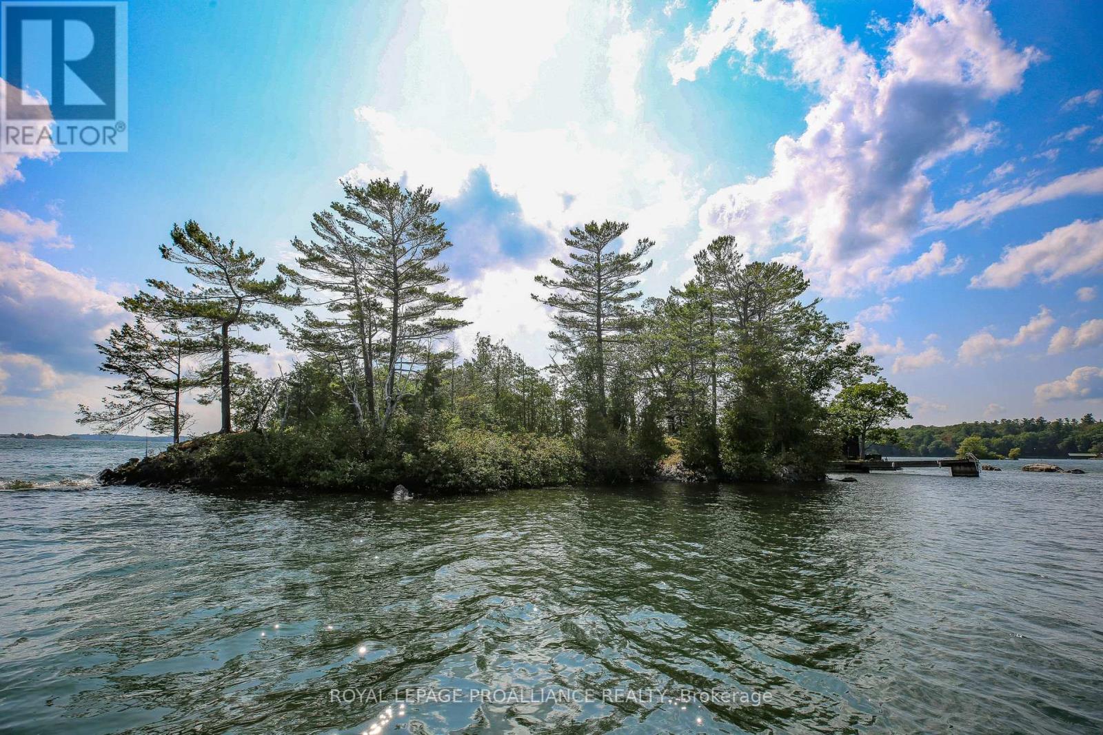 1 Black Cat Island, Frontenac Islands, Ontario  K0E 1L0 - Photo 26 - X12398227